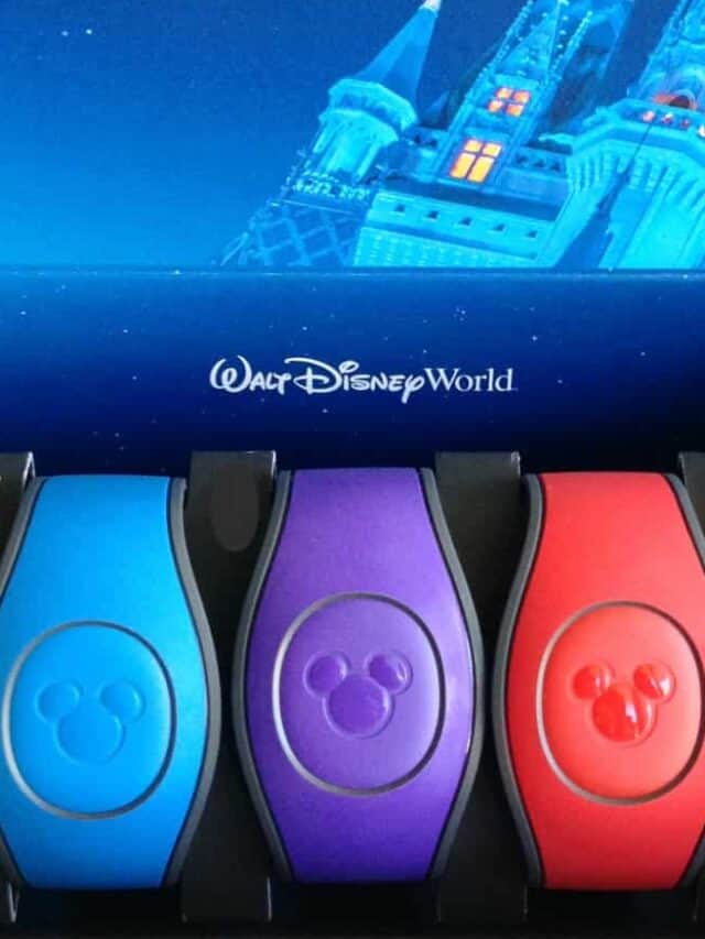STEPS TO ORDER DISNEY MAGICBANDS