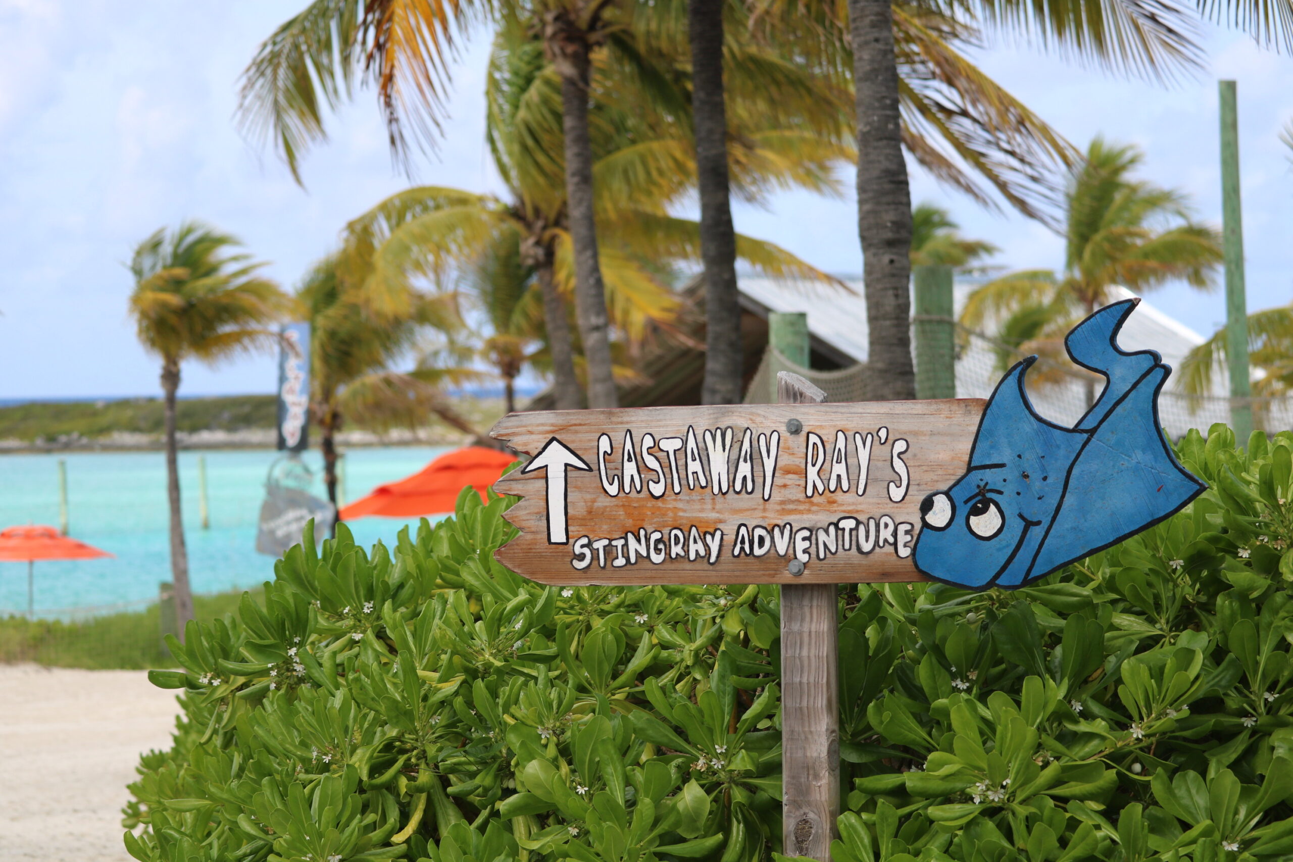Ray's Stingray Adventure at Castaway Cay